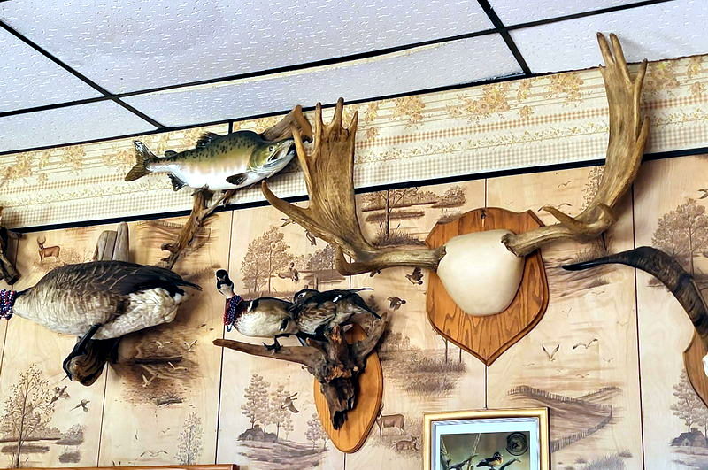 Oscar & Joeys Roadhouse (Chandlers) - From Web Listing For Oscar And Joeys (newer photo)